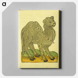 アートパネル-Animal Woodcut
 - 国立医学図書館 Canvas.