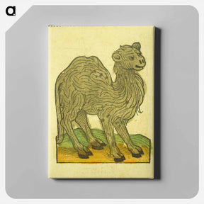 アートパネル-Animal Woodcut
 - 国立医学図書館 Canvas.