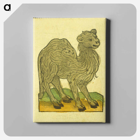 アートパネル-Animal Woodcut
 - 国立医学図書館 Canvas.