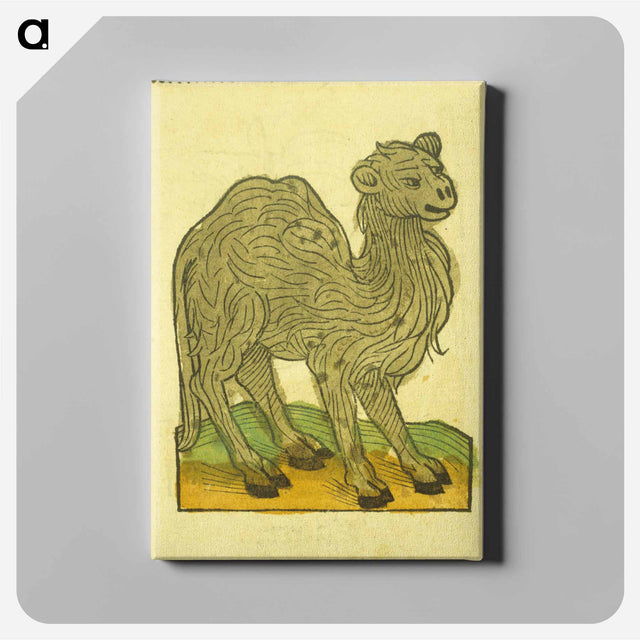アートパネル-Animal Woodcut
 - 国立医学図書館 Canvas.