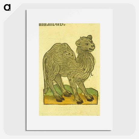 アートポスター-Animal Woodcut
 - 国立医学図書館 Poster.