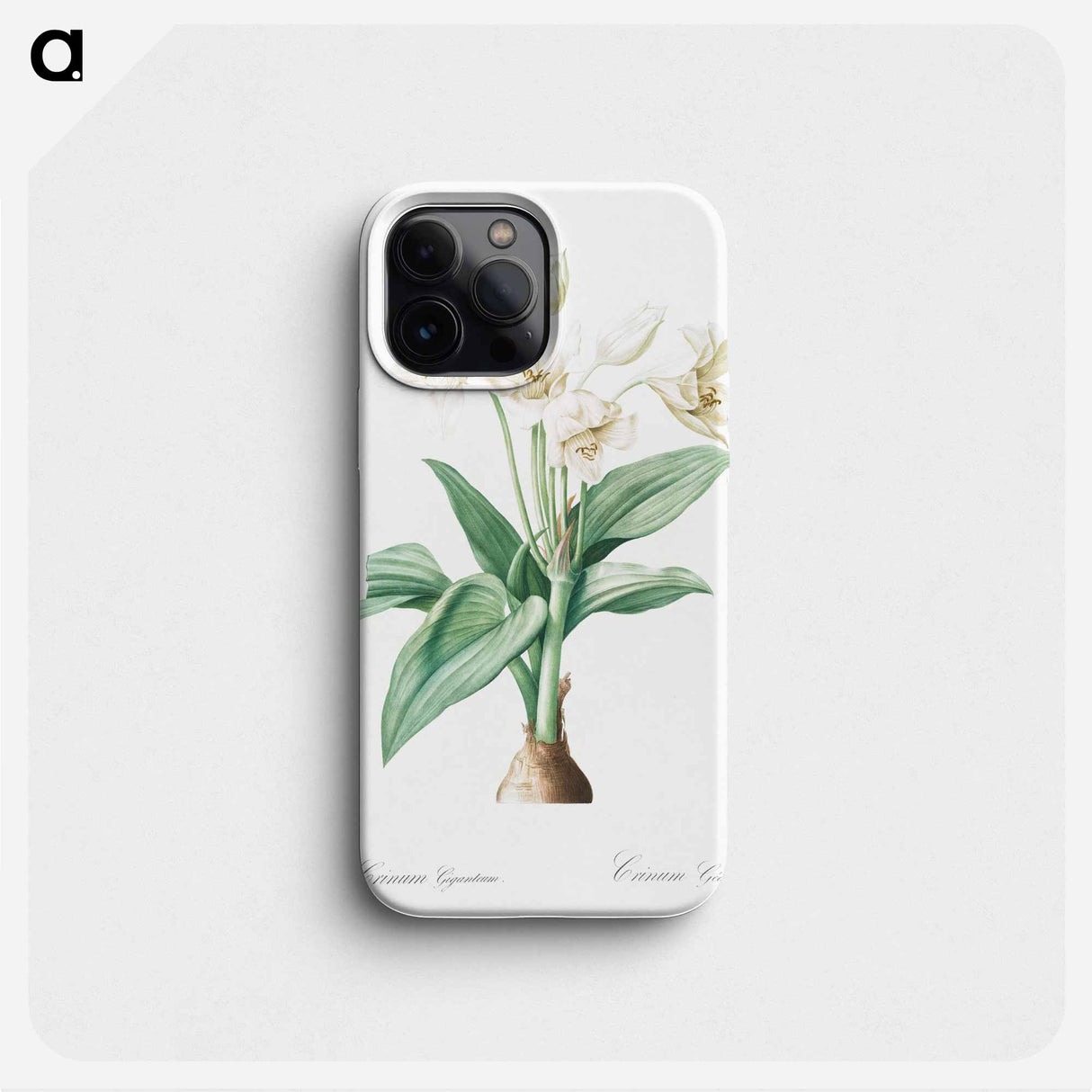 Crinum giganteum illustration - Pierre Joseph Redouté Phone Case.