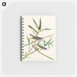 アートメモ帳-Vireo Solitarius from Birds of America
 - アメリカの鳥たち Memo.