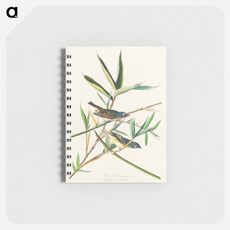 アートメモ帳-Vireo Solitarius from Birds of America
 - アメリカの鳥たち Memo.