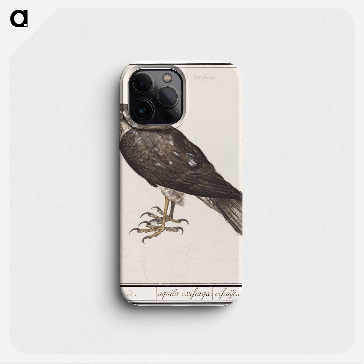 Eurasian Sparrowhawk - アンセルムス ボエティウス デ ブート Phone Case.