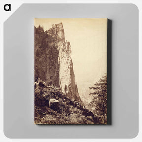 アートパネル-Sentinel Rock, Yo-Semite Valley
 - エドワード マイブリッジ Canvas.