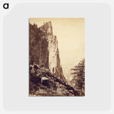 アートポストカード-Sentinel Rock, Yo-Semite Valley
 - エドワード マイブリッジ Postcard.