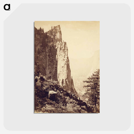 アートポストカード-Sentinel Rock, Yo-Semite Valley
 - エドワード マイブリッジ Postcard.