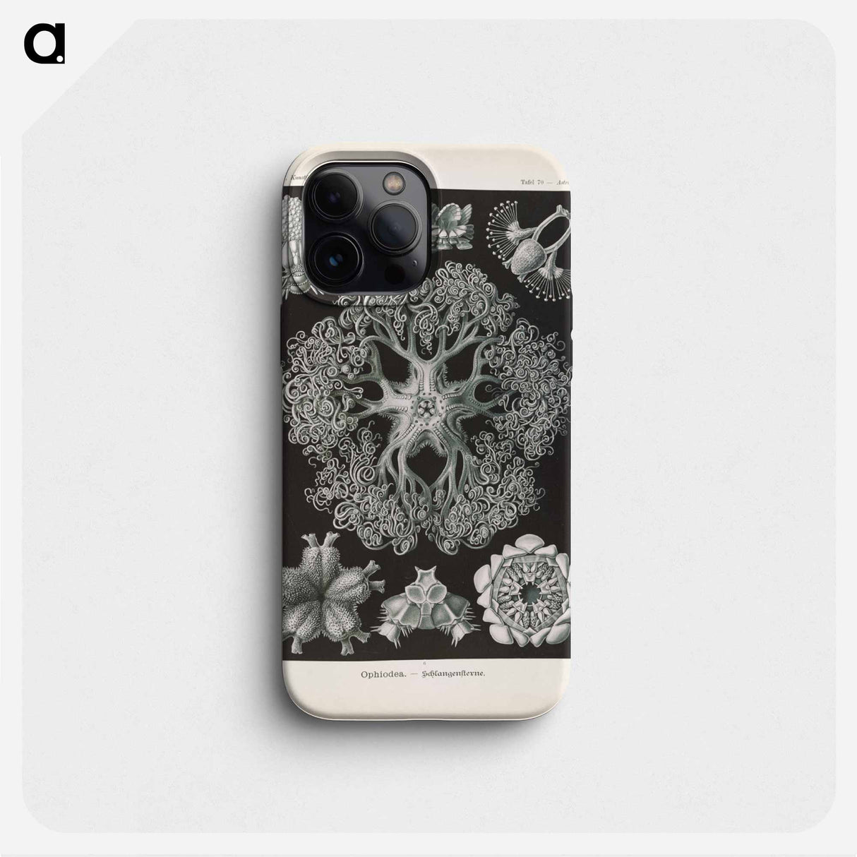 Marine life illustration - エルンスト ヘッケル Phone Case.