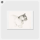 アートポストカード-Sketch of a cat - ジャン ベルナール Postcard.