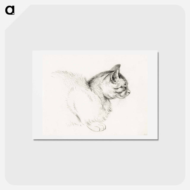 アートポストカード-Sketch of a cat - ジャン ベルナール Postcard.