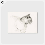 アートポストカード-Sketch of a cat - ジャン ベルナール Postcard.