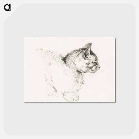 アートポストカード-Sketch of a cat - ジャン ベルナール Postcard.