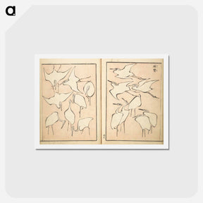 アートポストカード-Transmitting the Spirit, Revealing Form of Things: Picture Album of Drawings at One Stroke - 葛飾 北斎 Postcard.