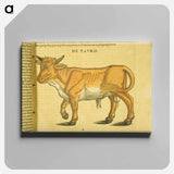 アートパネル-Taurus in Profile
 - 国立医学図書館 Canvas.