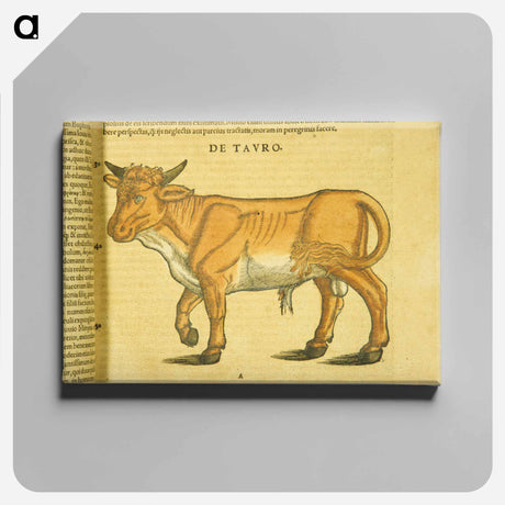アートパネル-Taurus in Profile
 - 国立医学図書館 Canvas.