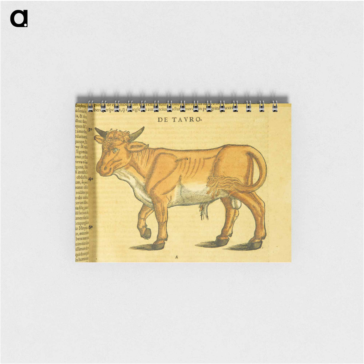 アートメモ帳-Taurus in Profile
 - 国立医学図書館 Memo.