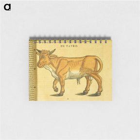 アートメモ帳-Taurus in Profile
 - 国立医学図書館 Memo.