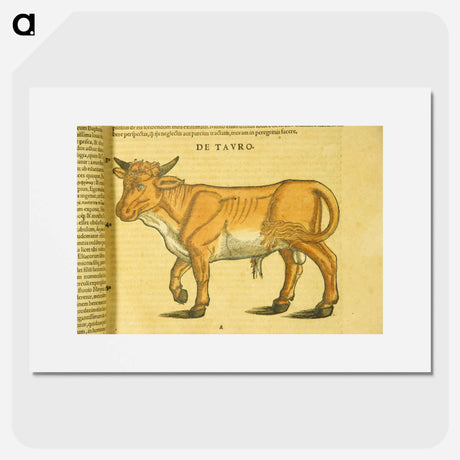 アートポスター-Taurus in Profile
 - 国立医学図書館 Poster.