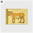 アートポストカード-Taurus in Profile
 - 国立医学図書館 Postcard.