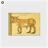 アートポストカード-Taurus in Profile
 - 国立医学図書館 Postcard.