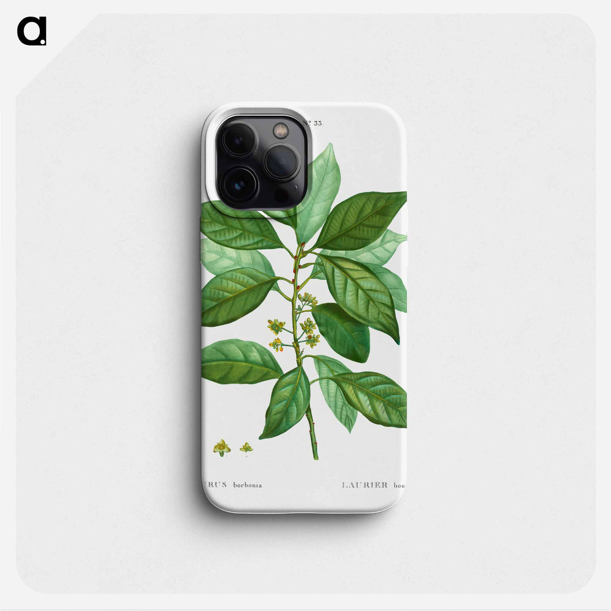 Laurus borbonia - Pierre Joseph Redouté Phone Case.