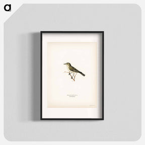 アートポスター-Tree Warbler
 - スヴェンスカ フォグラル Poster.