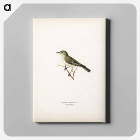 アートパネル-Tree Warbler
 - スヴェンスカ フォグラル Canvas.