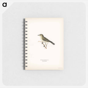 アートメモ帳-Tree Warbler
 - スヴェンスカ フォグラル Memo.