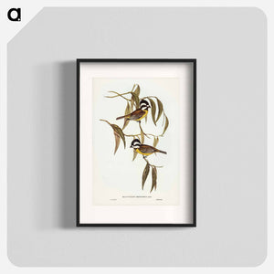 オーストラリア