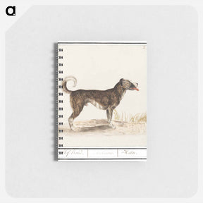 アートメモ帳-Dog - アンセルムス ボエティウス デ ブート Memo.