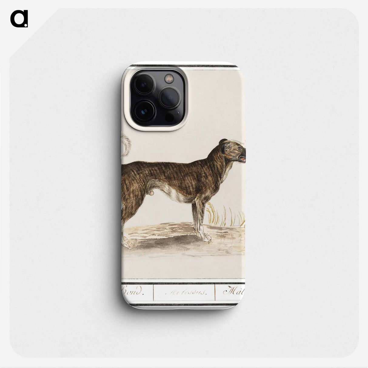 Dog - アンセルムス ボエティウス デ ブート Phone Case.