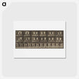 アートポストカード-Animal Locomotion
 - エドワード マイブリッジ Postcard.