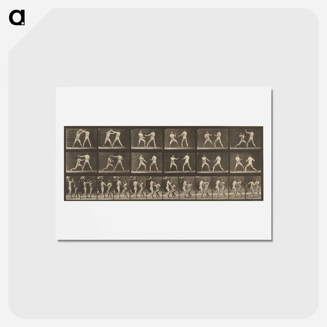 アートポストカード-Animal Locomotion
 - エドワード マイブリッジ Postcard.
