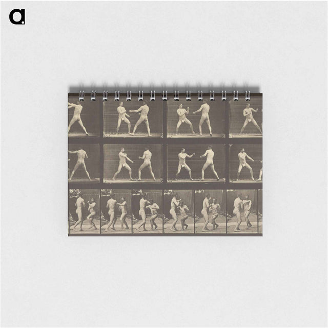 アートメモ帳-Animal Locomotion
 - エドワード マイブリッジ Memo.