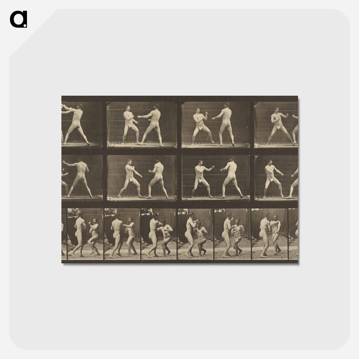 アートポストカード-Animal Locomotion
 - エドワード マイブリッジ Postcard.