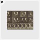アートポストカード-Animal Locomotion
 - エドワード マイブリッジ Postcard.