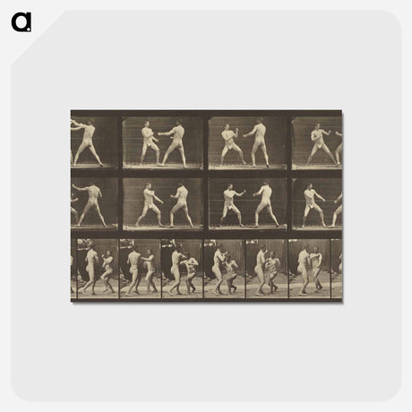 アートポストカード-Animal Locomotion
 - エドワード マイブリッジ Postcard.