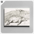 アートパネル-Lying pig, in the corner of a loft - ジャン ベルナール Canvas.