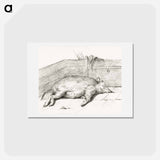 アートポストカード-Lying pig, in the corner of a loft - ジャン ベルナール Postcard.