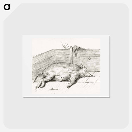アートポストカード-Lying pig, in the corner of a loft - ジャン ベルナール Postcard.