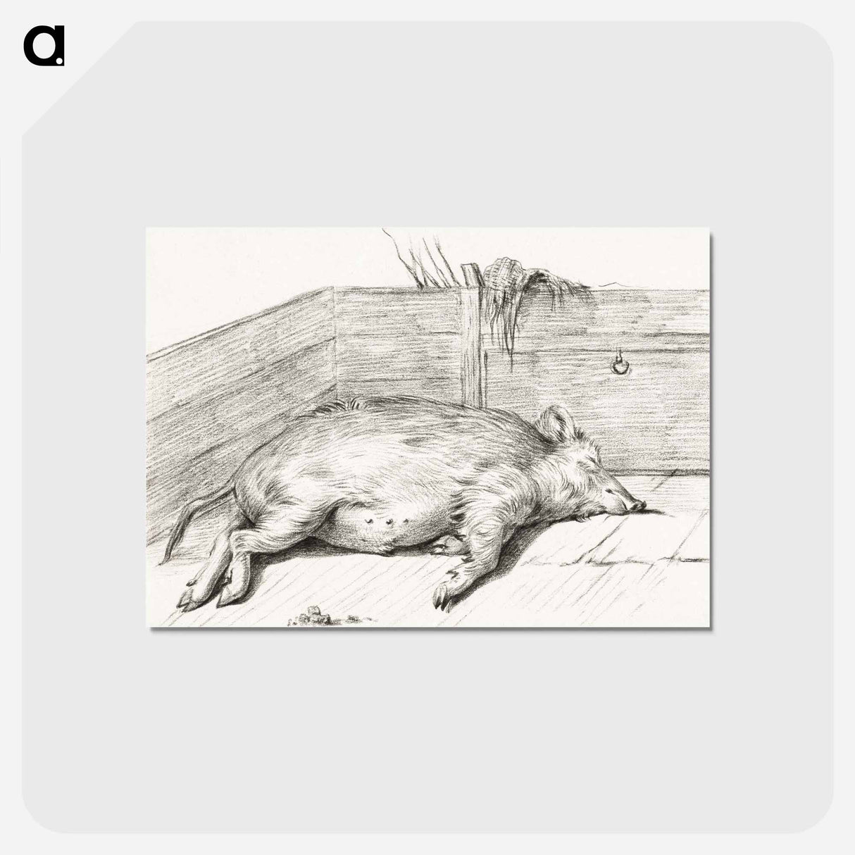 アートポストカード-Lying pig, in the corner of a loft - ジャン ベルナール Postcard.