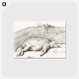 アートポストカード-Lying pig, in the corner of a loft - ジャン ベルナール Postcard.