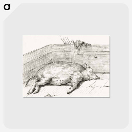 アートポストカード-Lying pig, in the corner of a loft - ジャン ベルナール Postcard.