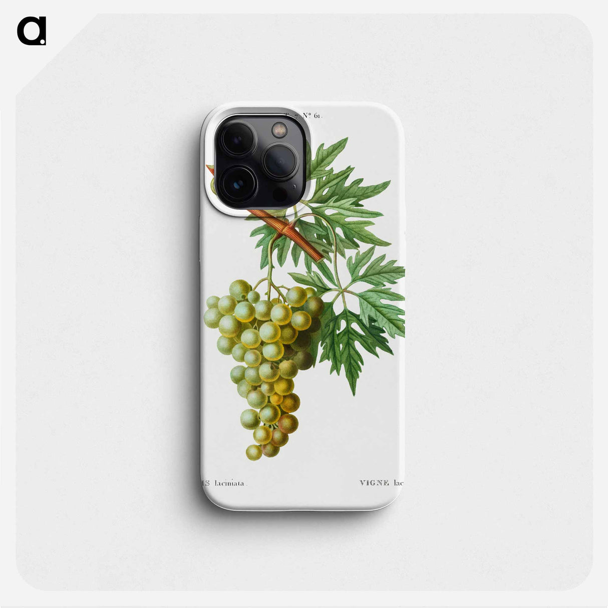 Grape vine, Vitis laciniata - Pierre Joseph Redouté Phone Case.