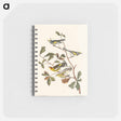 アートメモ帳-Golden-winged Warbler and Cape May Warbler from Birds of America
 - アメリカの鳥たち Memo.