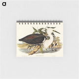 アートメモ帳-Pacific Heron
 - オーストラリアの鳥 Memo.
