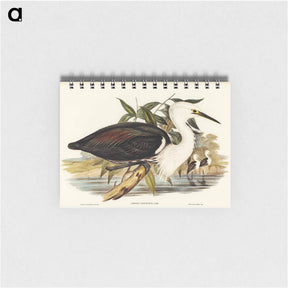 アートメモ帳-Pacific Heron
 - オーストラリアの鳥 Memo.