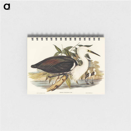 アートメモ帳-Pacific Heron
 - オーストラリアの鳥 Memo.