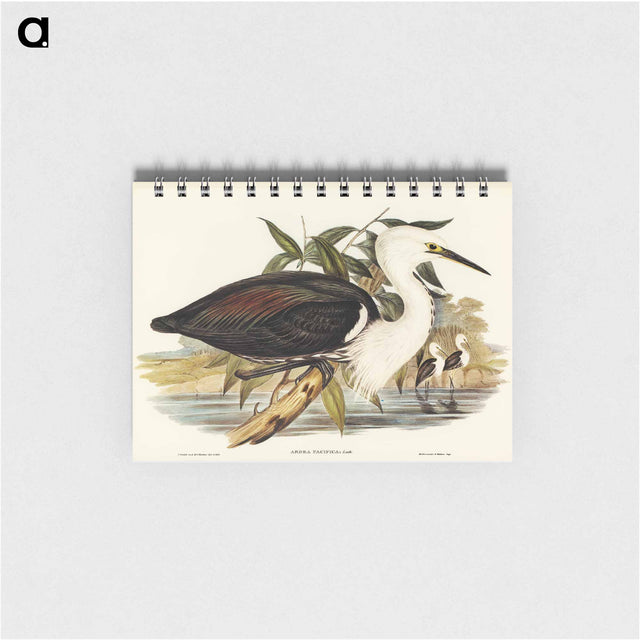 アートメモ帳-Pacific Heron
 - オーストラリアの鳥 Memo.